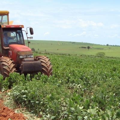 Plantio direto de cana sobre adubação verde ou palhada de culturas