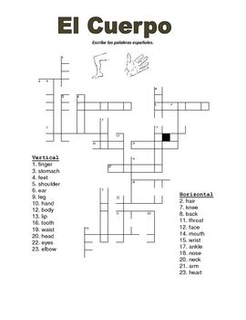 Spanish Body Parts Crossword Puzzle And Wordsearch By World Language