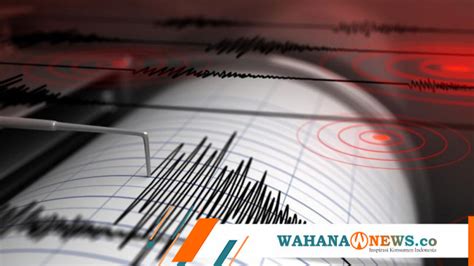 Papua Diguncang Gempa Kali Terbesar M Di Wondama Wahana News