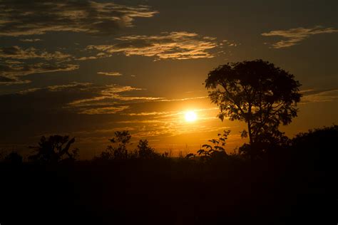 Kostenloses Foto zum Thema: brasilien, natur, sonnenuntergang