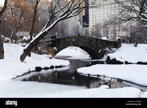 New York City Manhattan Central Park Panorama In Winter With Snow