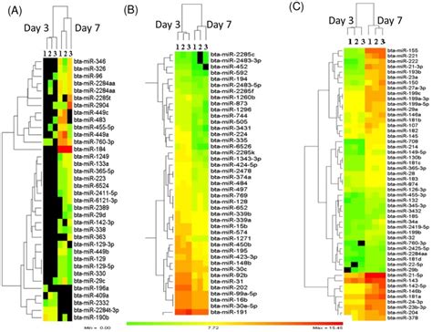 A The Expression Patterns Of Mirnas Detected Only At Day Top Or