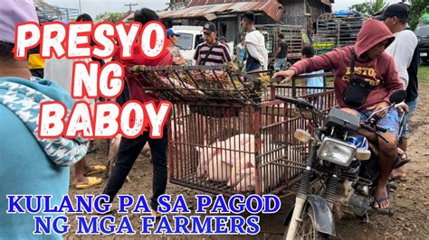 Presyo Ng Baboy Kulang Pa Sa Pagod Ng Farmer Solle S G Youtube