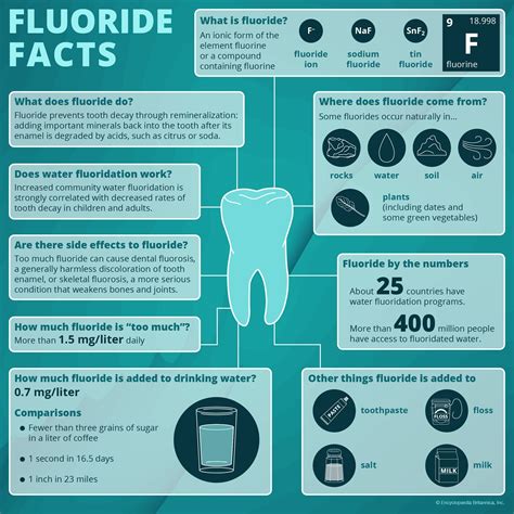 What are the benefits and controversies surrounding water fluoridation