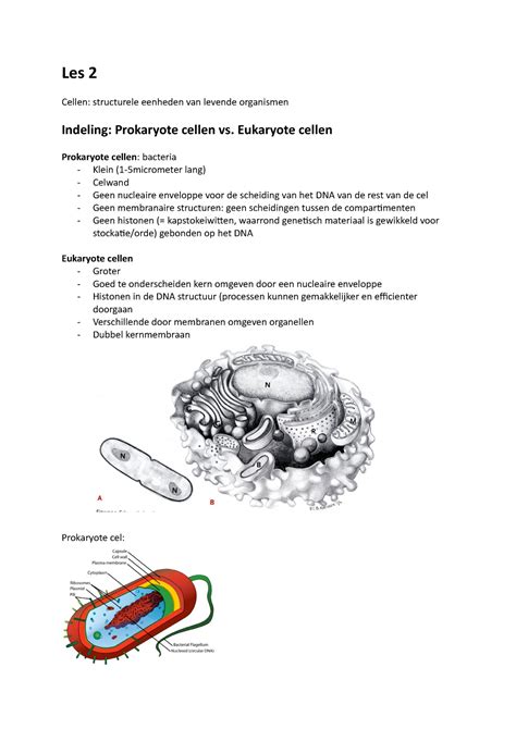 Les 2 Biologie En Weefselleer Algemene Biologie En Weefselleer