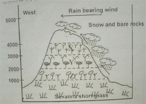 The diagram below represents zones of natural vegetation on a mountain ...