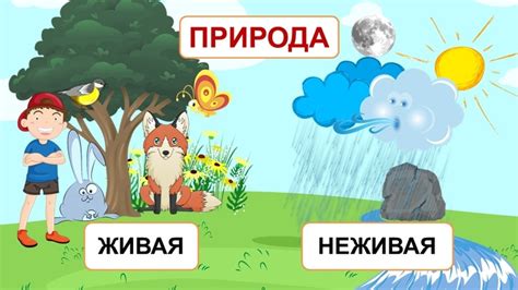 Живая и неживая природа проект 2 класс