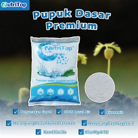 Jual Pupuk Pertumbuhan Premium Npk Ws Mg Te Nutritop Kg