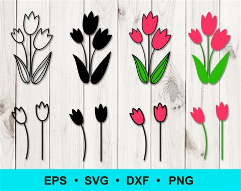 Tulip Flower Svg Png Dxf Eps Simple Flower Shape Cut Etsy