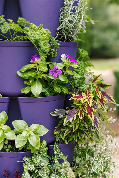 Vertical Planters | GreenStalk Garden 