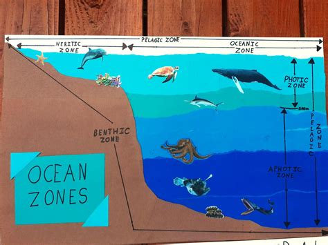 Aquatic zones are called biomes – Artofit