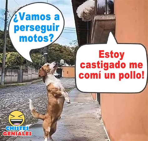 Vamos A Perseguir Motos Chistes Geniales Funny Spanish Jokes