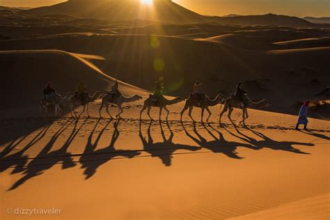 Choosing A Tour Guide For Desert Trip In Morocco Dizzy Traveler