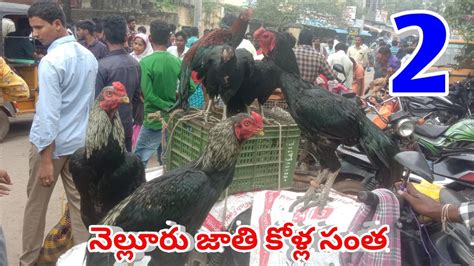 Nellore Sunday Natukolla Market Part 2 నెల్లూరు సండే నాటుకోళ్ల మార్కెట్