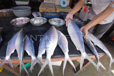 PENJUALAN IKAN BANDENG JELANG PERAYAAN IMLEK ANTARA Foto