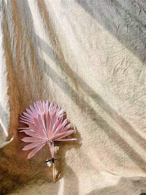 Hand Dyed Canvas Backdrop Fabric Photo Background For Events Etsy