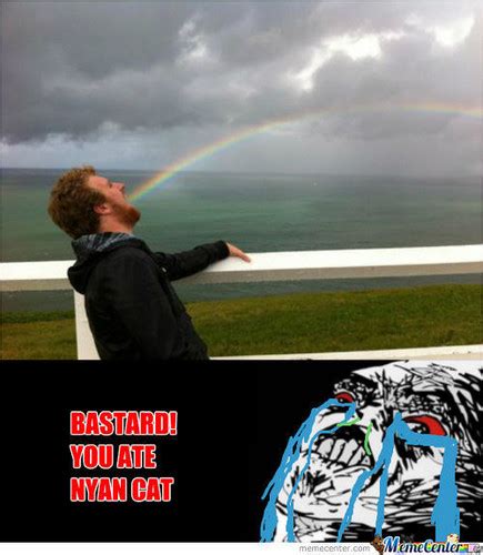 Real Life Nyan Cat - Nyan Cat Photo (24422756) - Fanpop