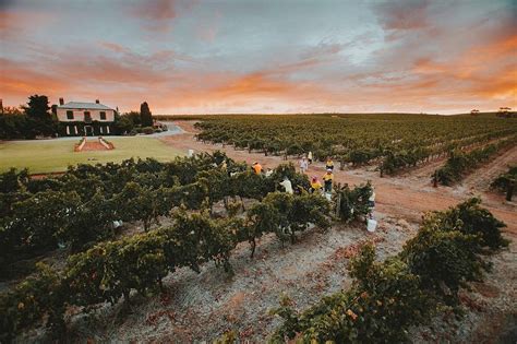 Clare Valley South Australia All You Need To Know Before You Go