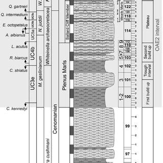 Summary Of Lithology Biostratigraphy And Sample Numbers Of The Upper