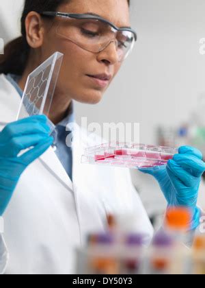 Female Scientist Examining Cell Cultures Growing In A Culture Jar In