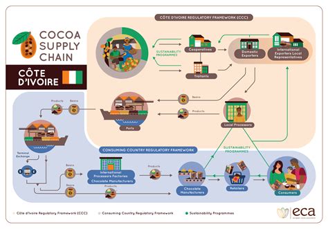 Cocoa Supply Chain Dotinfographics I Visual Communications