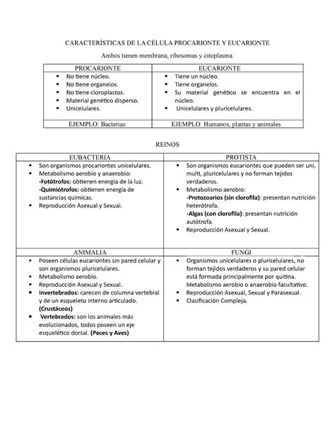 Gu A De Estudio Er Bimestre Caracter Sticas De La C Lula Procarionte