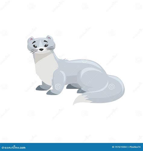 Arctic White Ermine Cartoon Flat Style Illustration Of Polar And