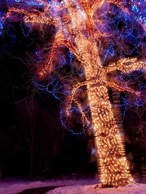 Premium Photo | Trail of lights at denver botanical gardens at chatfield.