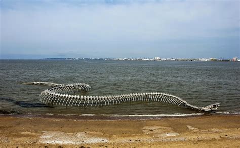 Simply Creative Giant Snake Skeleton Sculptures By Huang Yong Ping