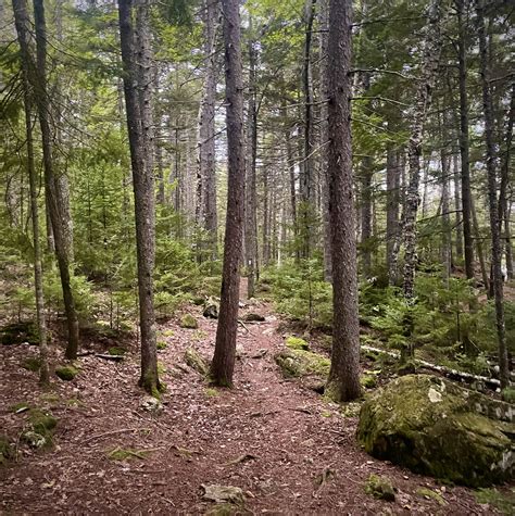 Day Hurricane Hot Tub Party The Trek