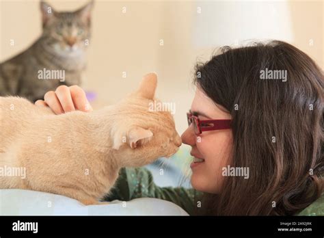 Woman With Asperger Syndrome Playing With Her Pet Cats Stock Photo Alamy