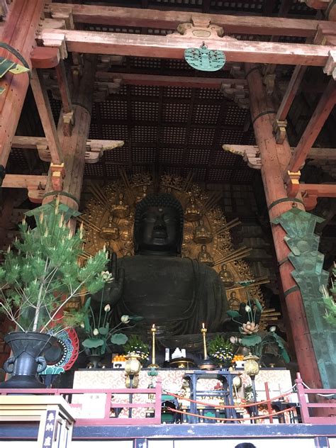 【仏トーーーク！2】 盧遮那仏坐像（るしゃなぶつざそう・東大寺の大仏） ハナウタ