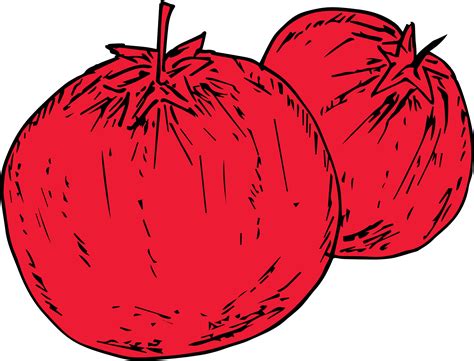 Hand Drawn Tomato On Transparent Background 29944678 Png