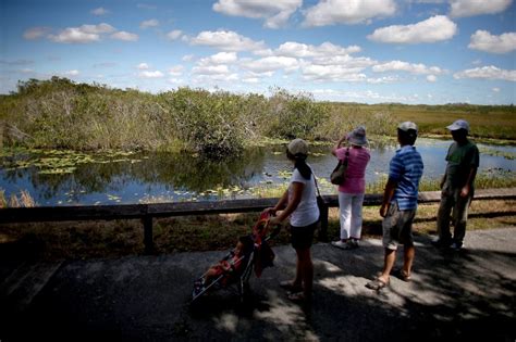 National Parks Tour Everglades Home To Alligators Birds And Panthers