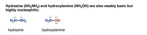 Nucleophilicity Trends Of Amines Master Organic Chemistry