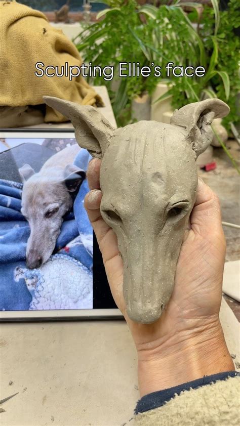 Nick Mackman Animal Sculpture On Instagram Animal Sculpture Workshop