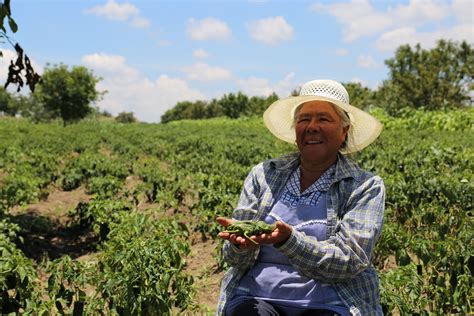 Producción Para El Bienestar Camino A La Sustentabilidad Secretaría