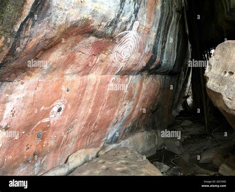 Mud Wasp Nests Hi Res Stock Photography And Images Alamy