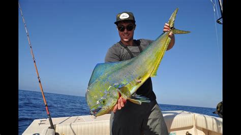 Fishing Offshore San Diego For Dorado And Yellowfin Tuna 9252015