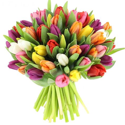 Livraison Bouquet De Tulipes Multicolores 25 Tiges Bouquet De