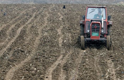 Poljoprivreda U Srbiji Upanje Brkova Agro Vesti By Agronews Rs