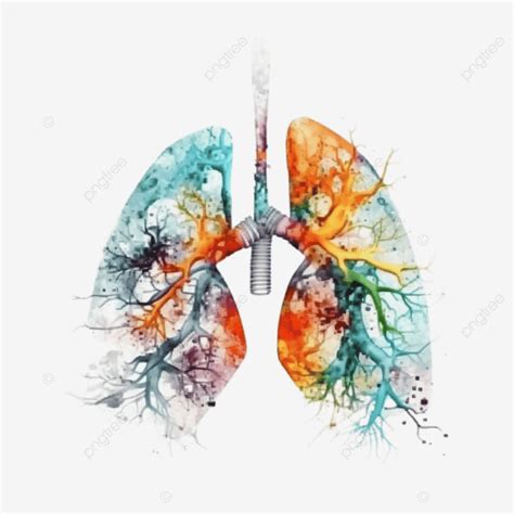 Asthma Day Lungs Colored Illustration Asthma Day Lung World Asthma