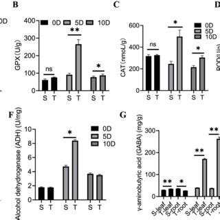 Enzyme Activities Of Pepper Under Waterlogging A Sod B Gpx C Cat D