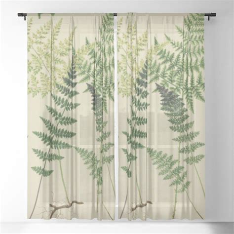 Buy Botanical Ferns Sheer Curtain By Bluespecsstudio Worldwide