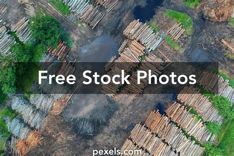 Deforestation Photos, Download The BEST Free Deforestation Stock Photos ...