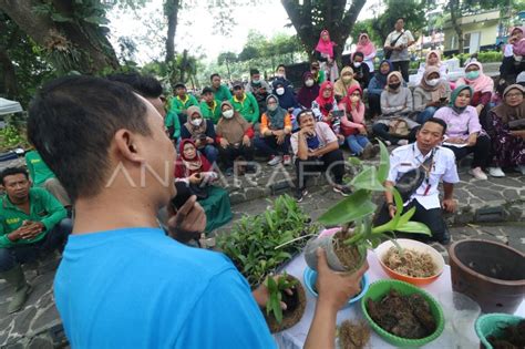 Pelatihan Budidaya Anggrek Masyarakat Perkotaan Antara Foto