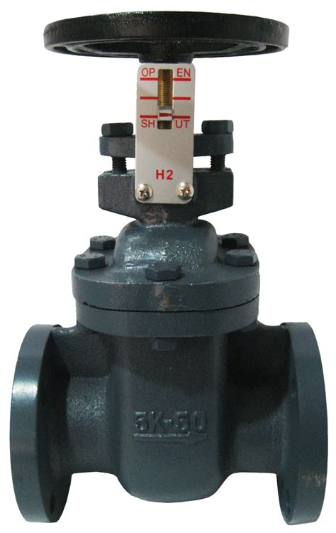 Gate Valve Cast Iron Jis K Onda Sanitary Plumbing