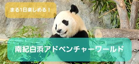 【和歌山】入園料のみでも楽しめる！？『南紀白浜アドベンチャーワールド』攻略法！ 旅人サイファのお出かけブログ