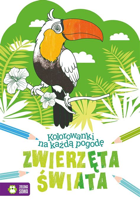 Kolorowanka Zielona Sowa Kolorowanki Na Ka D Pogod Zwierz Ta Wiata