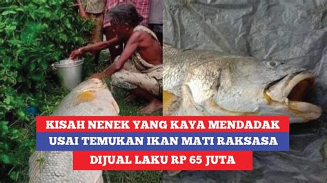 Kisah Nenek Yang Kaya Mendadak Usai Temukan Ikan Mati Raksasa Dijual